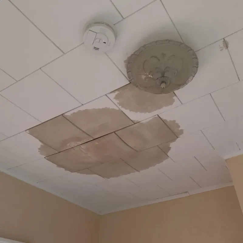 Ceiling Water Damage Repair in Braham, MN