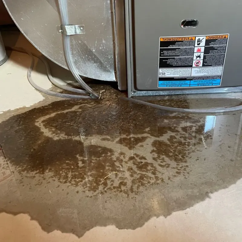 Pipe Burst and Leak Restoration in Braham, MN
