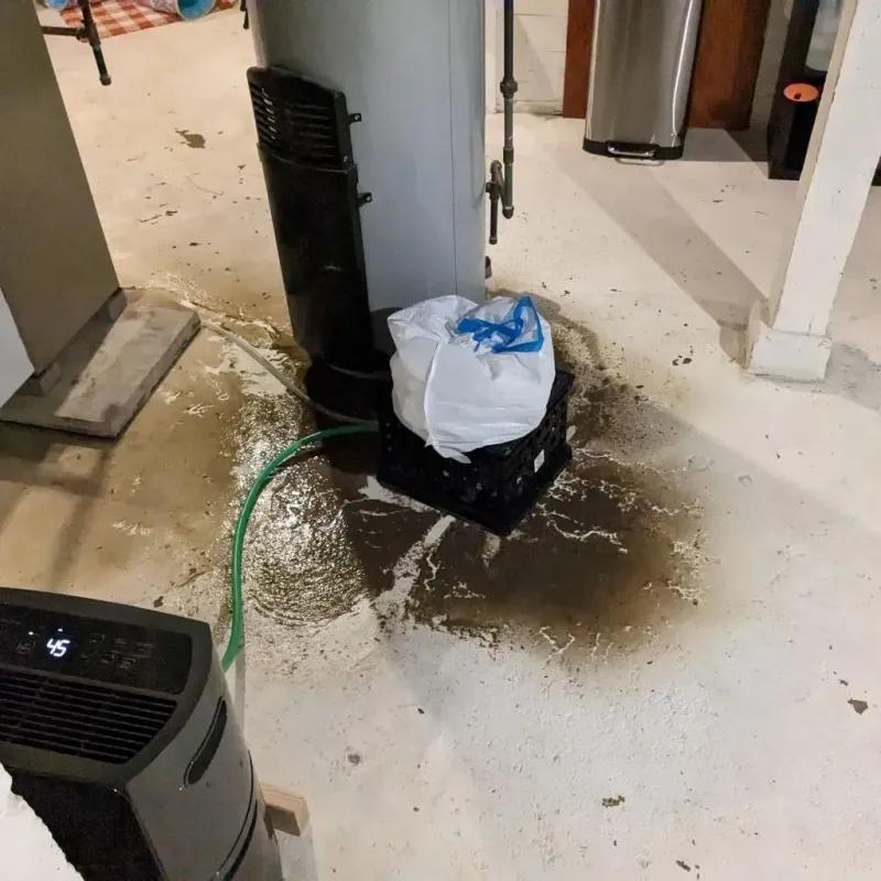 Sewage Backup Cleanup Service in Braham, MN
